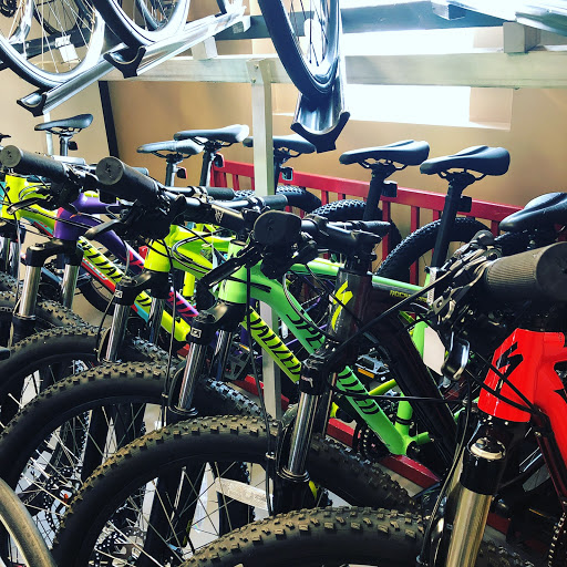 Bicycle Rental Service «Bicycle Hub of Marlboro», reviews and photos, 239 Hwy 79, Morganville, NJ 07751, USA