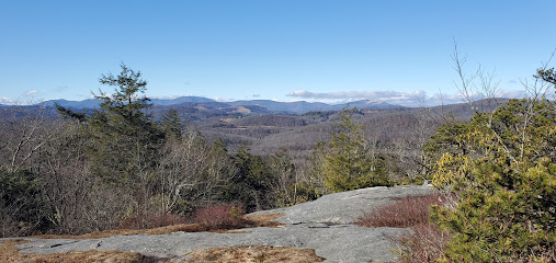 Flat Rock View