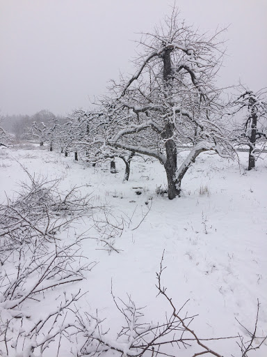 Event Venue «Senate Garage», reviews and photos, 4 N Front St, Kingston, NY 12401, USA