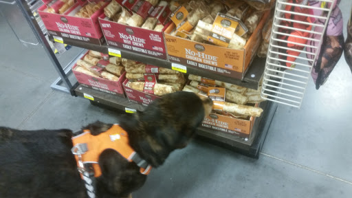 Pet Supply Store «Care-A-Lot Pet Supply Indian River», reviews and photos, 5457 Indian River Rd, Virginia Beach, VA 23464, USA