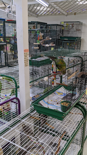Pet Store «Discount Pet & Supplies», reviews and photos, 16320 Middlebelt Rd, Livonia, MI 48154, USA