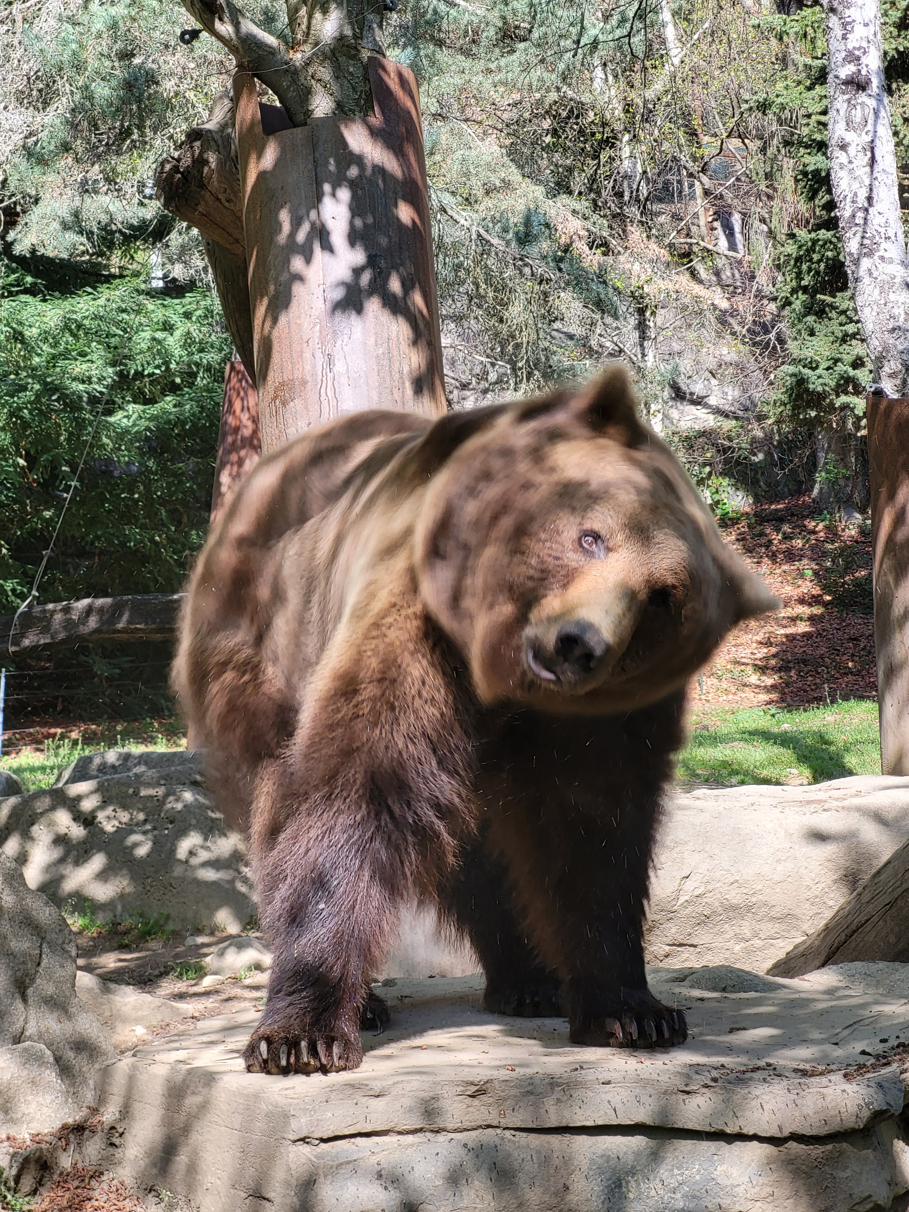 Photo n° 1 de l'avis de Caroline.r fait le 09/04/2023 à 12:55