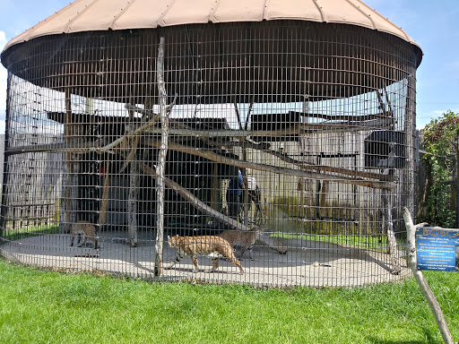 Zoo «Alligator Adventure», reviews and photos, 4604 Hwy 17 S, North Myrtle Beach, SC 29582, USA