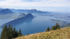 Rigi Dossen