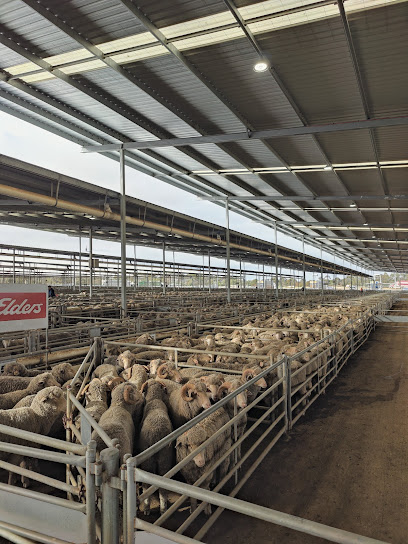 Katanning Sheep Saleyards