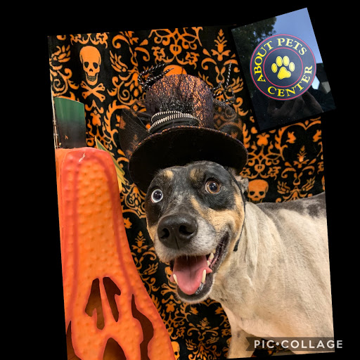 Pet Boarding Service «About Pets Center», reviews and photos, 1604 Conehurst Blvd, Salem, VA 24153, USA