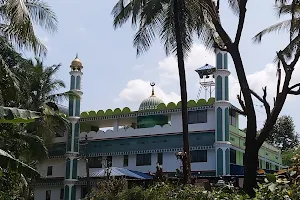 Nellikurissi Juma Masjid image