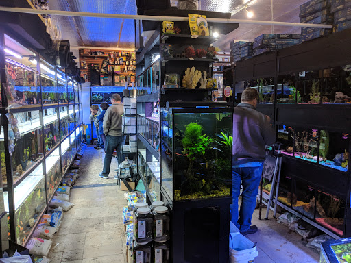 Tropical Fish Store «Aquatica Aquarium Gallery», reviews and photos, 6653 Grafton Rd, Valley City, OH 44280, USA