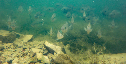 Park «DePauw Nature Park», reviews and photos, 1400 West County Road 125 South, Greencastle, IN 46135, USA