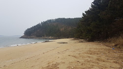 Wonsando Beach II'in fotoğrafı geniş bir kıyı şeridi ile birlikte