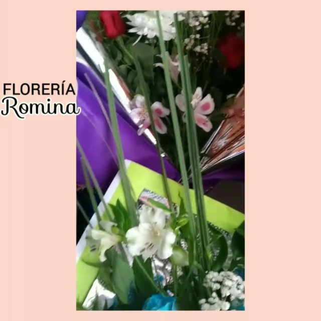 Florería Romina