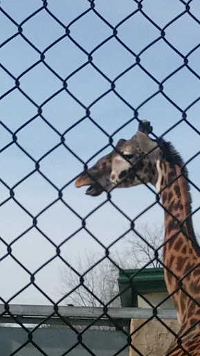 Aquarium «Toledo Zoo Aquarium», reviews and photos, 2700 Broadway St, Toledo, OH 43609, USA