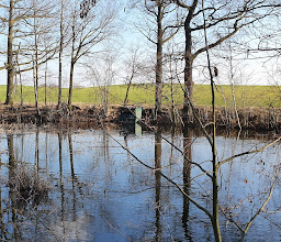 Kleinteich am Tannenberg Volkersdorf photo