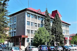 Municipality Moineşti image