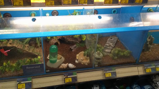 Pet Supply Store «PetSmart», reviews and photos, 2317 W Lincoln St, Harlingen, TX 78552, USA