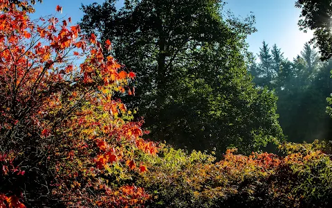 The Yorkshire Arboretum image