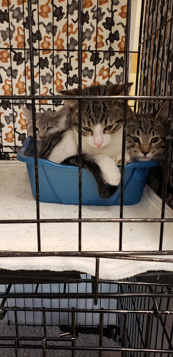 Pet Supply Store «PetSmart», reviews and photos, 711 US-41, Schererville, IN 46375, USA