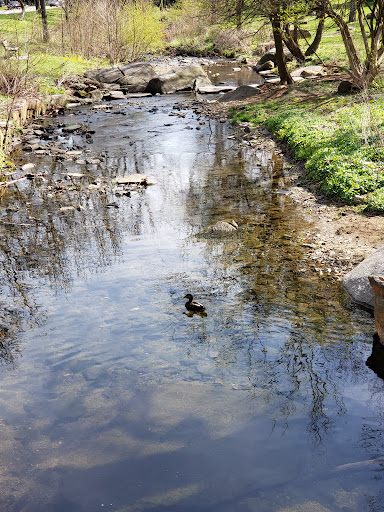 Shortridge Memorial Park, Wynnewood, PA 19096