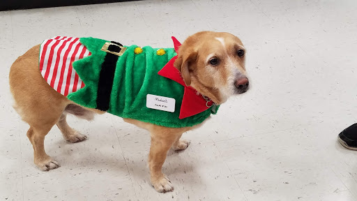 Craft Store «Michaels», reviews and photos, 2540 S Pleasant Valley Rd, Winchester, VA 22601, USA