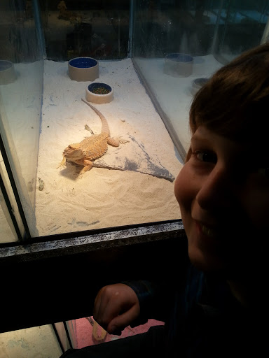 Pet Supply Store «OddBallPetFactory.com», reviews and photos, 8485 Plaza Blvd NE, Spring Lake Park, MN 55432, USA