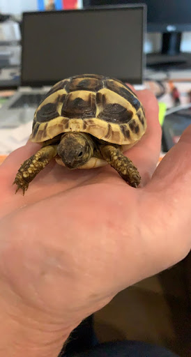 Der Zoo- und Aquaristikshop A. Bormki unter Michelstadt, 