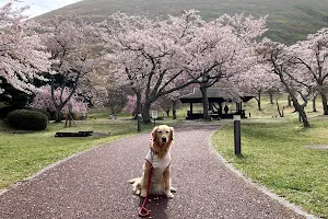 Sakura no sato image