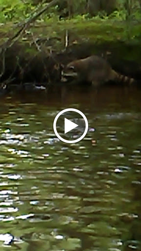 Park «Mansfield Park», reviews and photos, 85 Walker St, Massapequa Park, NY 11762, USA