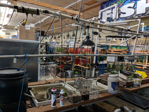 Pet Store «A to Z Pets», reviews and photos, 16010 SE Division St, Portland, OR 97236, USA