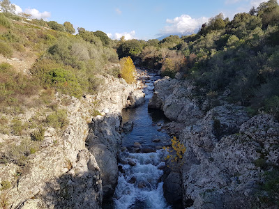 I ZITELLI DI U PRUNELLI à Bastelicaccia
