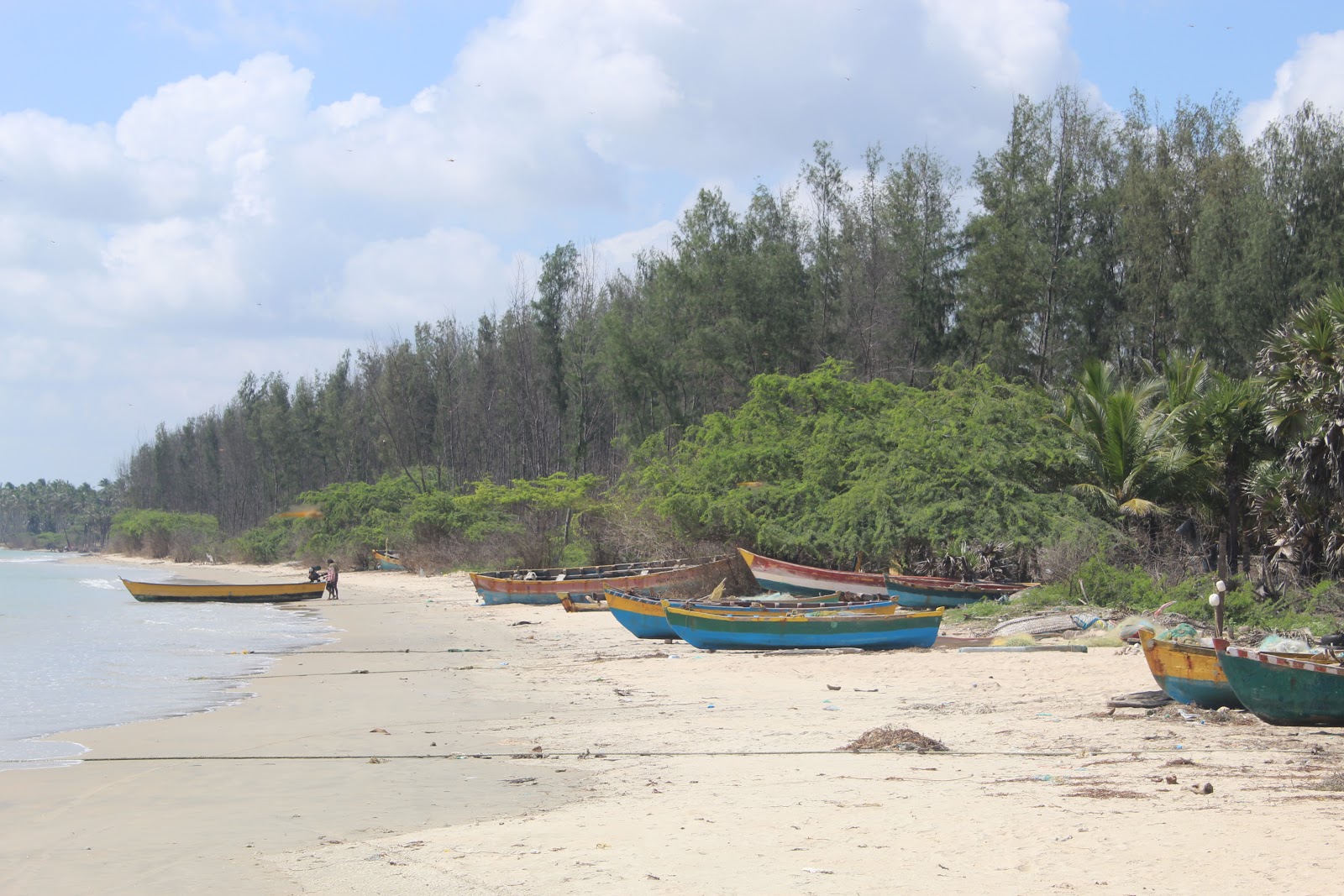 Photo de Rock Beach avec un niveau de propreté de très propre