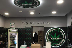 Cannabis Store Amsterdam Aversa