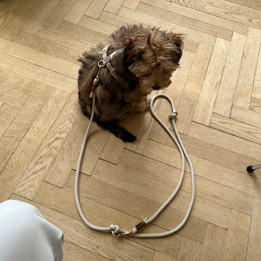 Drews dogwear in Copenhagen, København