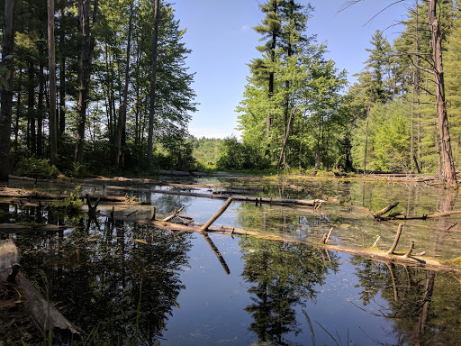 Lovewell Pond Yudicky Farm - Conservation Area