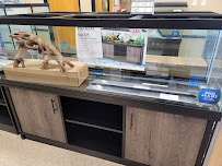 PetSmart - Photo 6 - Car repair in Cedar Park, TX, Round Rock