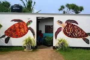 Sea Turtle Farm & Hatchery koggala image