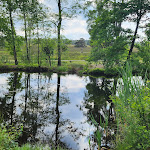 Photo n°4 de l'avis de Petra.l fait le 07/06/2023 à 16:27 sur le  Der Schafstall - Das Café-Restaurant im Büsenbachtal à Handeloh