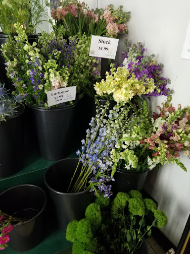 Florist «Thrifty Florist», reviews and photos, 211 S Telegraph Rd, Pontiac, MI 48341, USA