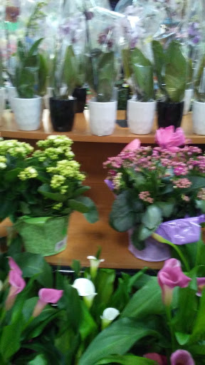 Thrift Store «Goodwill - Panorama City», reviews and photos, 14565 Lanark St, Panorama City, CA 91402, USA