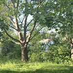 Photo n° 16 de l'avis de Moh. fait le 27/05/2023 à 17:20 pour Île de Loisirs de Créteil à Créteil