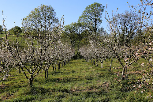 Le Verger de Pirouette à Saint-Pardoux-Soutiers