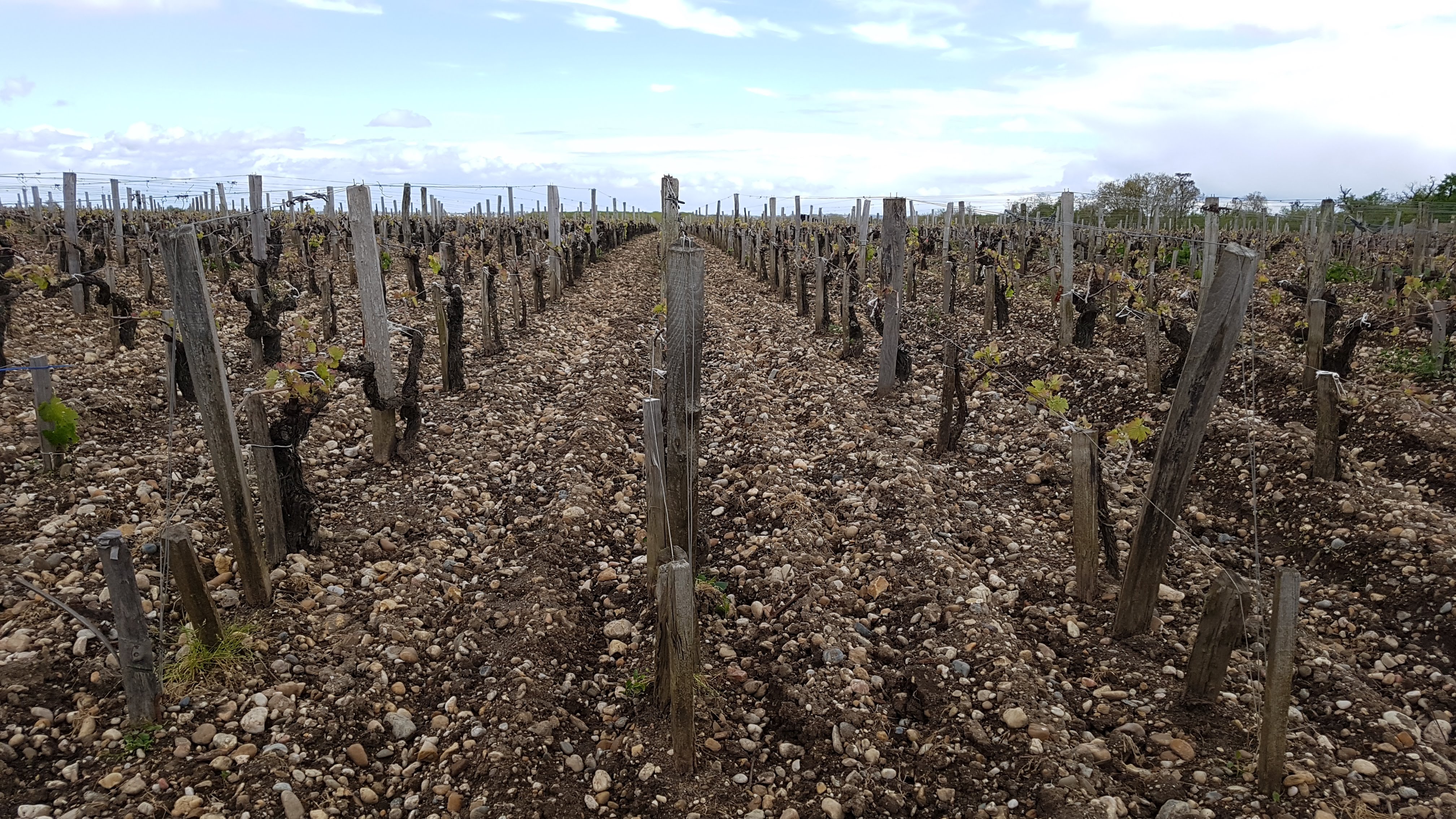 Photo n° 3 de l'avis de Luana.a fait le 21/04/2019 à 20:39