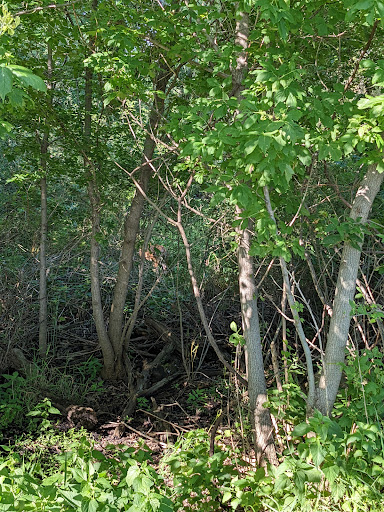 Nature Preserve «Rock Run Preserve - Paul V. Nichols Access», reviews and photos, Essington Rd, Joliet, IL 60435, USA