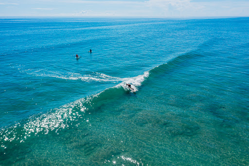 Surf Shop «Blueline Surf & Paddle», reviews and photos, 997 Florida A1A, Jupiter, FL 33477, USA