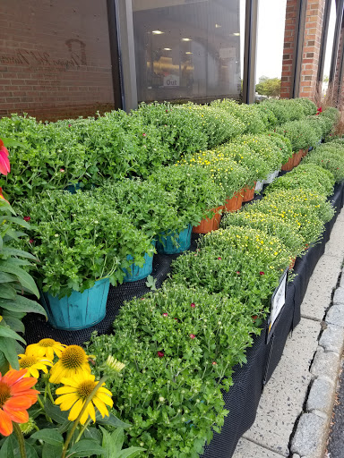 Grocery Store «Stop & Shop», reviews and photos, 404 Springfield Ave, Berkeley Heights, NJ 07922, USA