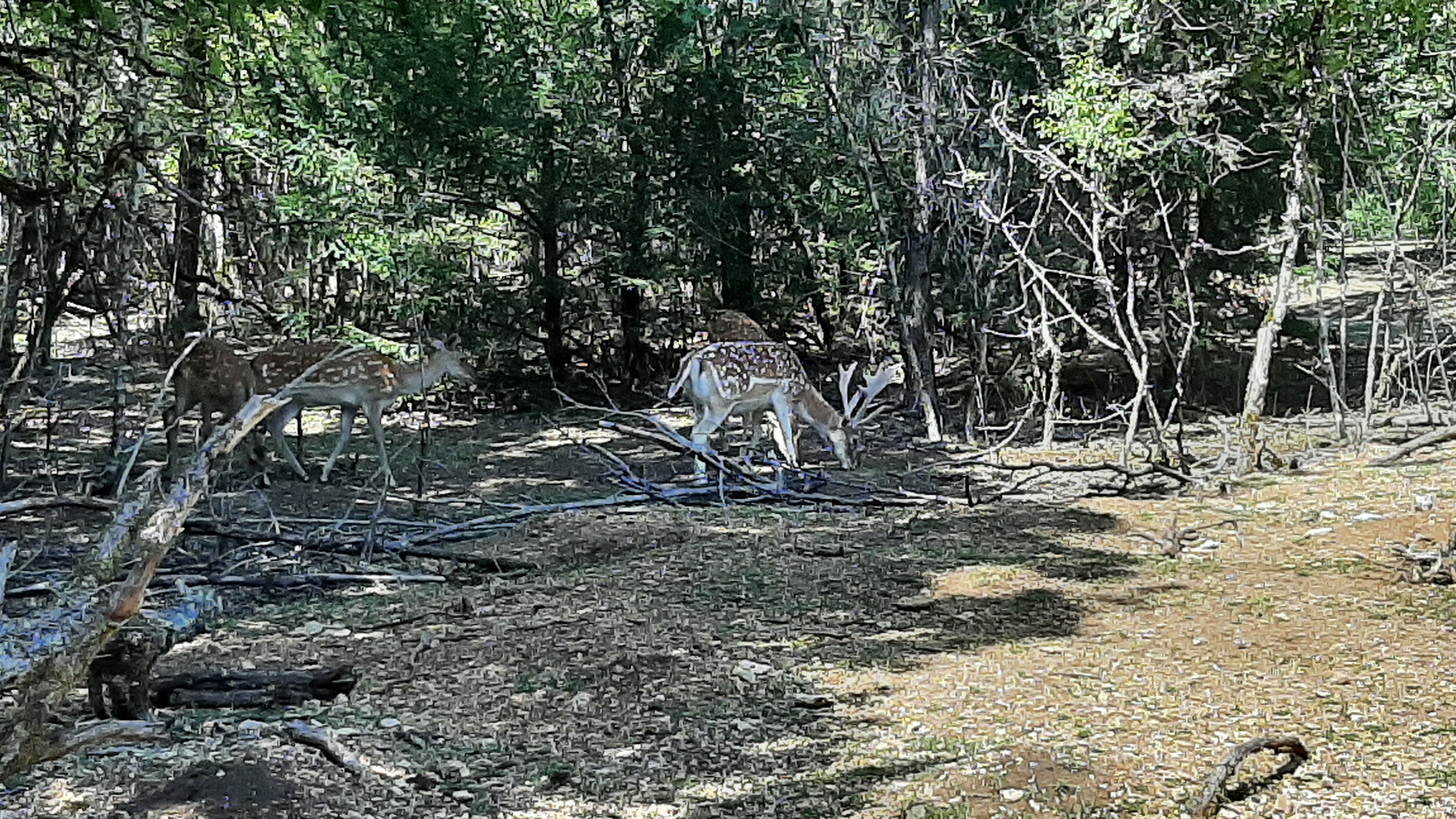 Photo n° 1 de l'avis de Max. fait le 10/08/2021 à 14:29