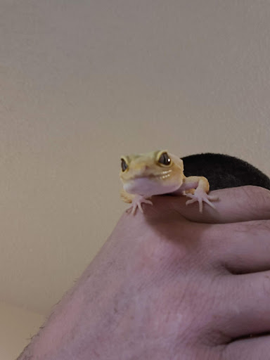 Pet Supply Store «Our Pet World», reviews and photos, 380 Semoran Commerce Pl, Apopka, FL 32703, USA