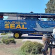 San Diego Seal Tours