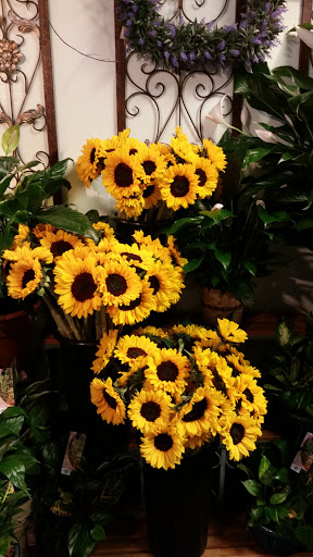 Florist «Bloomingdale Florist», reviews and photos, 827 E Bloomingdale Ave, Brandon, FL 33511, USA