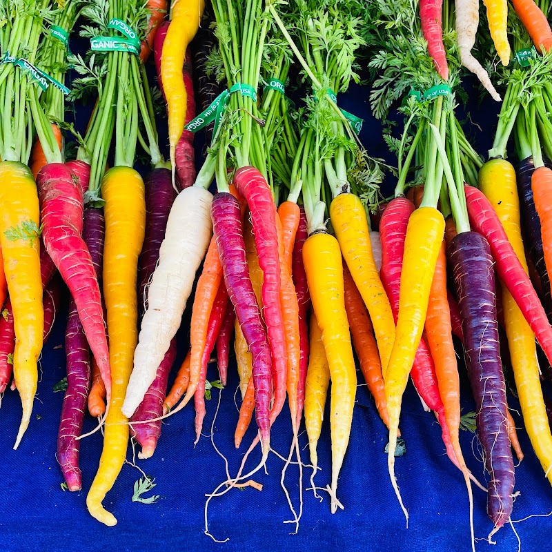 Santa Barbara Farmers Market // Saturday