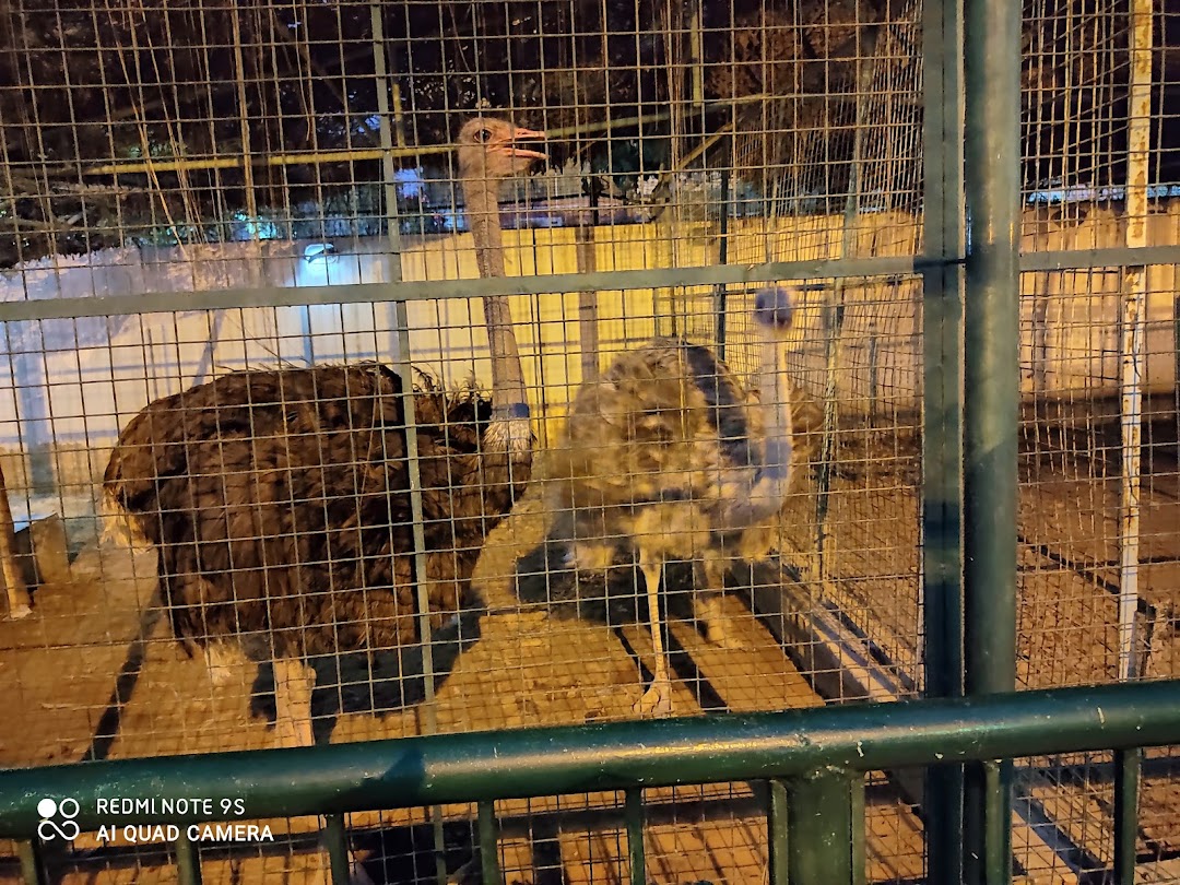 Arif Hussain Shaheed Mini Zoo Park